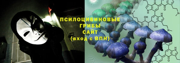 ALPHA-PVP Белокуриха