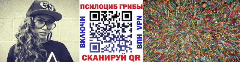 OMG ссылка  Кондопога  Псилоцибиновые грибы Psilocybine cubensis 
